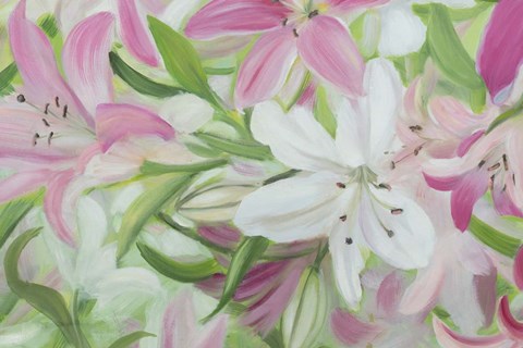 Framed Pink and White Lilies IV Print
