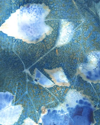 Framed Cyanotype Leaves I Print