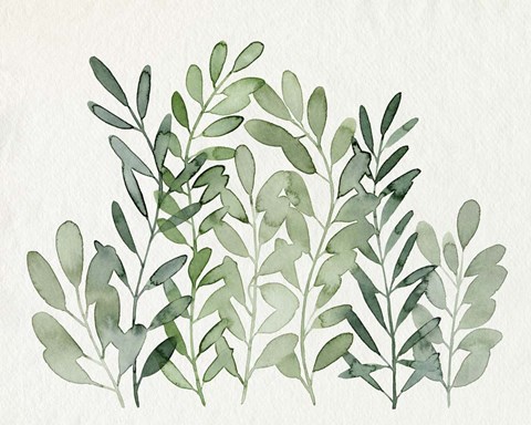 Framed Foraged Greens II Print