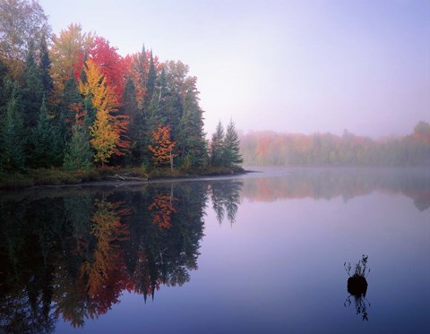 Framed Foggy Morning Sunrise Print