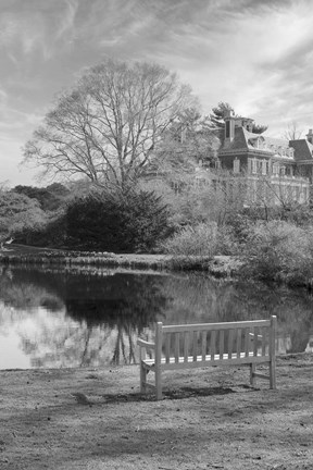 Framed Coastal Oak Series No. 63 Print