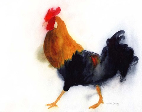 Framed Rooster on Kauai at Lydgate Park Print