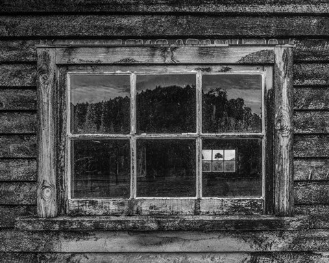 Framed Viewpoint Print