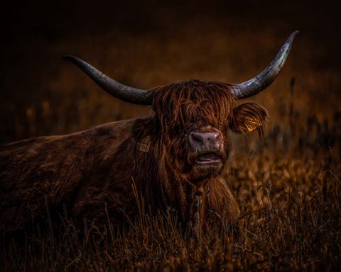 Framed On a break Print