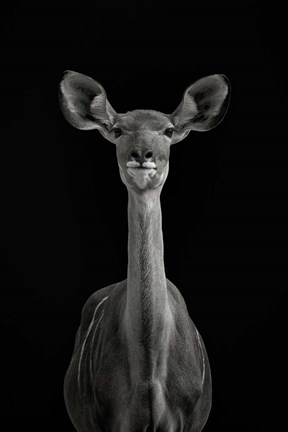 Framed To be Standing to Attention Print