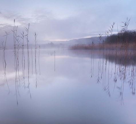 Framed Reflections in a Lake 1 Print