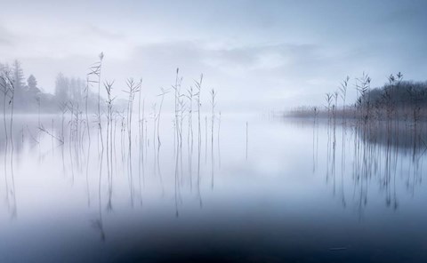 Framed Reflections in a Lake 2 Print