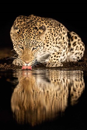 Framed Single Mother Print