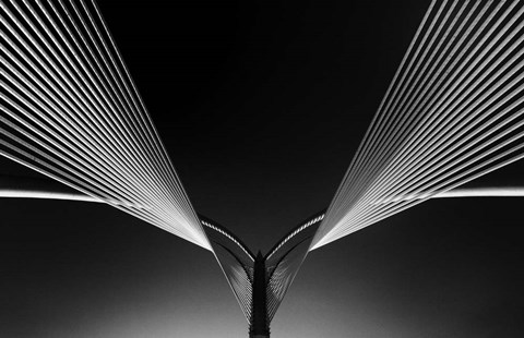 Framed Wings Print