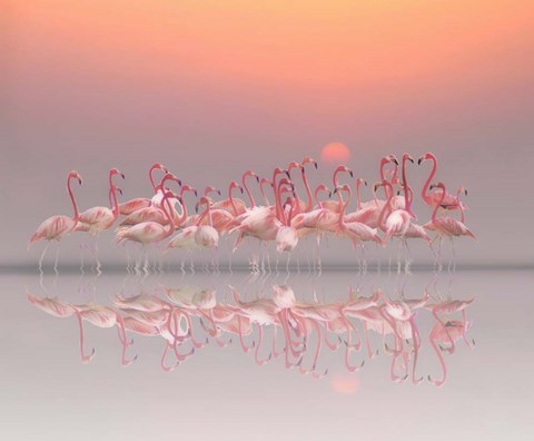 Framed Meeting Before Sunset Print