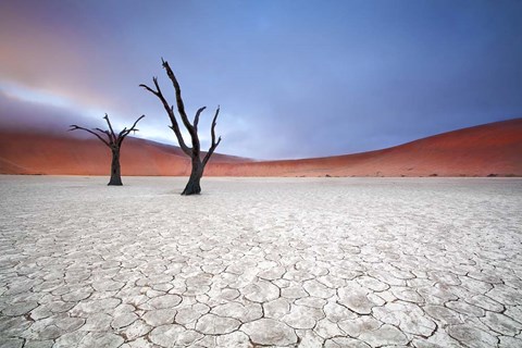 Framed Mist over Deadvlei Print