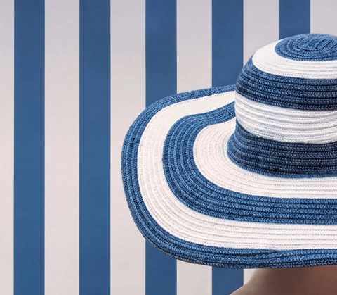 Framed Blue and White Print