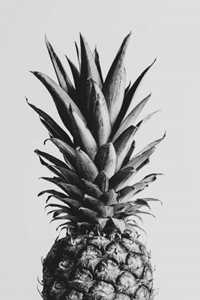 Framed Pineapple Black a White 2 Print