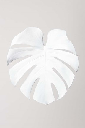 Framed Monstera White 3 Print