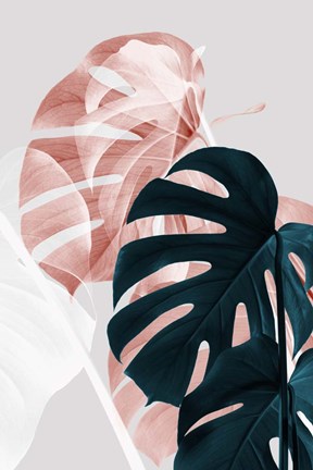 Framed Monstera Creative 9 Print