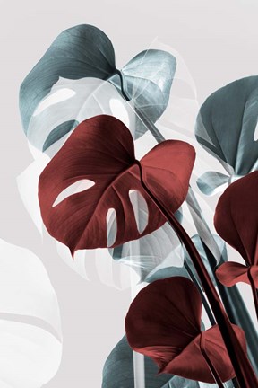 Framed Monstera Creative 15 Print