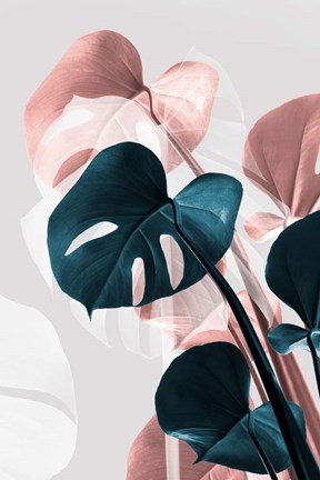 Framed Monstera Creative 17 Print
