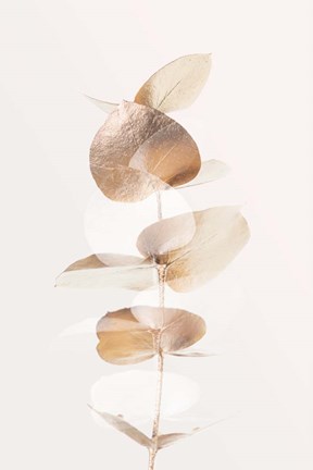 Framed Eucalyptus Creative Gold 4 Print