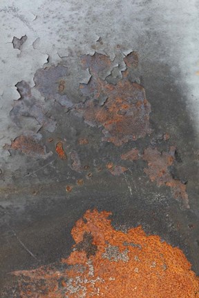 Framed Corrugated Iron 5 Print