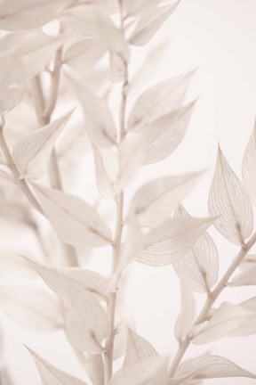 Framed Dried Straws 3 Print