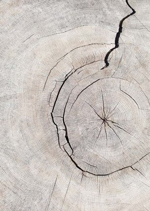 Framed Pattern Wood 2 Print