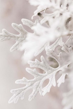 Framed Silver Leaves No 2 Print