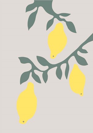 Framed Lemons Print