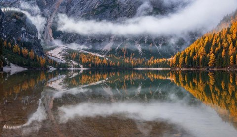 Framed Perfect Reflection Print