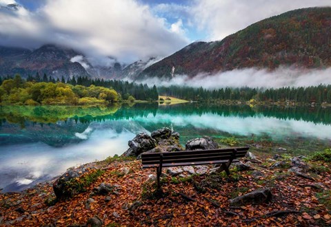 Framed Bench by the Lake Print