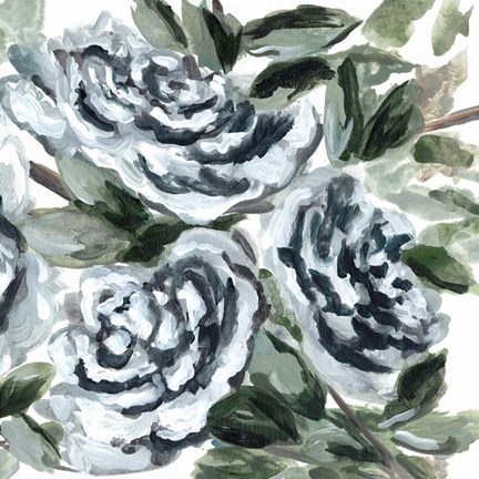 Framed Shadowed Blue Roses II Print