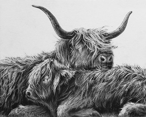 Framed My Highland V Print