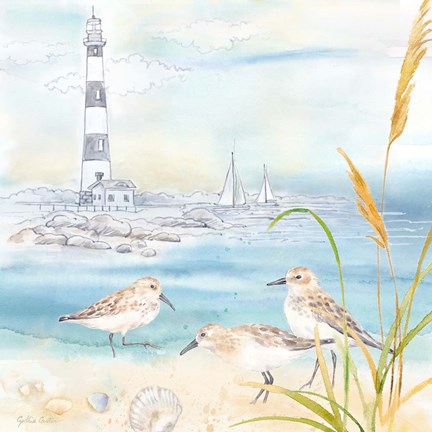 Framed By the Seashore IV Print