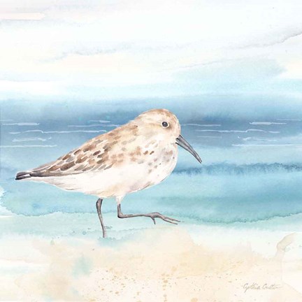 Framed By the Seashore XIII Print