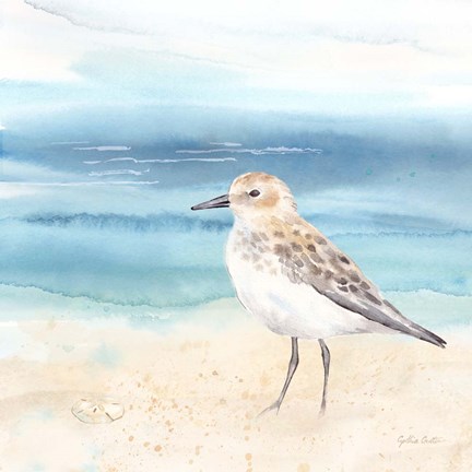 Framed By the Seashore XIV Print