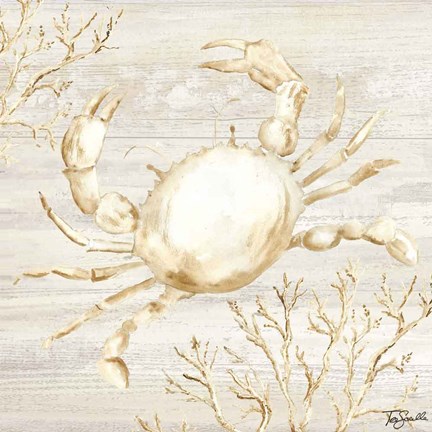 Framed Calm Shores II Print