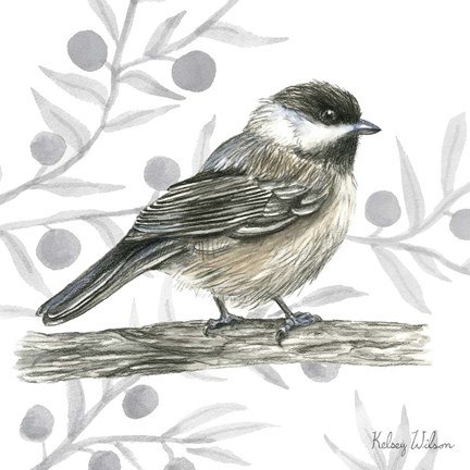 Framed Backyard Birds II-Chickadee Print