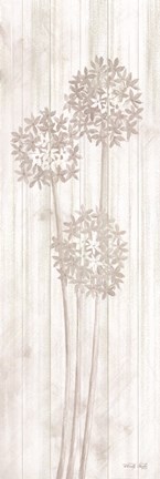 Framed Allium V Print