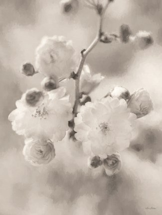 Framed Painted Blossoms I Print