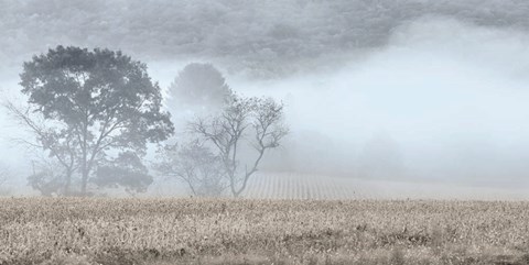 Framed Blue Misty Morning Print