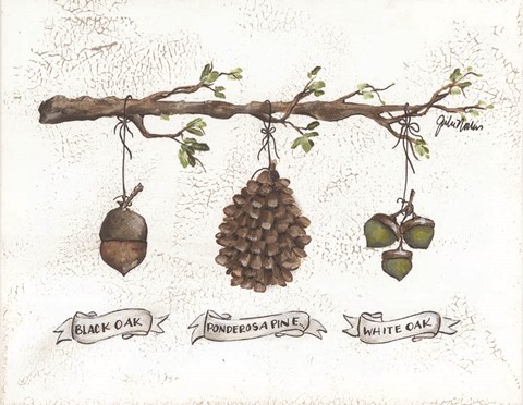 Framed Pinecone Acorn Study Print