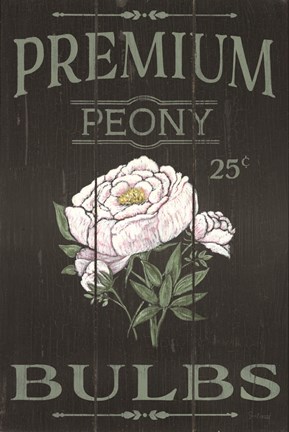 Framed Peony Blubs Print