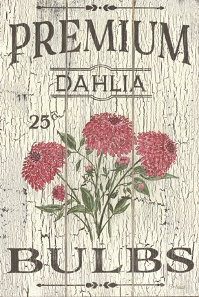 Framed Dahlia Bulbs Print