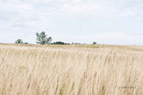 Framed On the Edge II Print