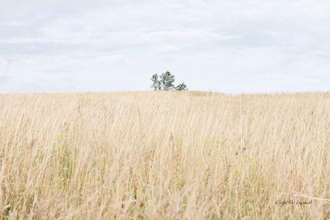 Framed On the Edge I Print