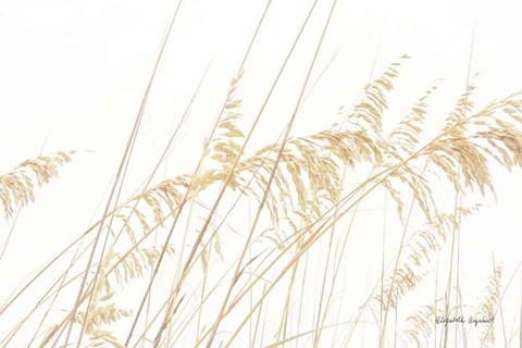 Framed Blowing in the Wind I Print