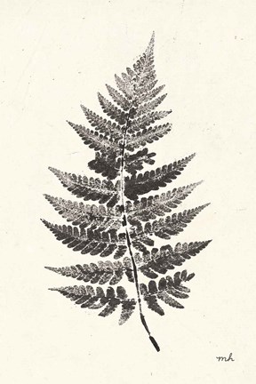 Framed Walk in the Woods II Print