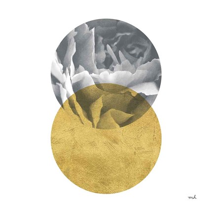 Framed Blossoms I Gold Print