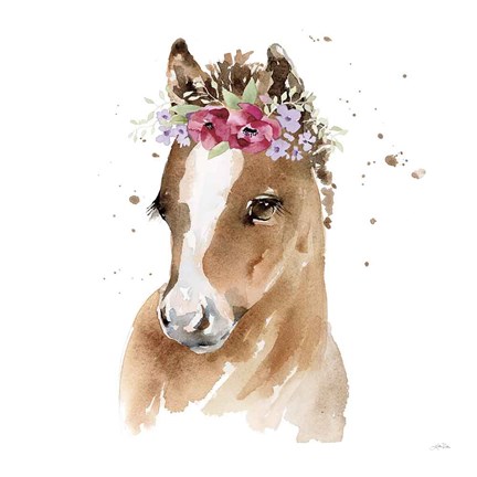 Framed Floral Pony Pink Sq Print