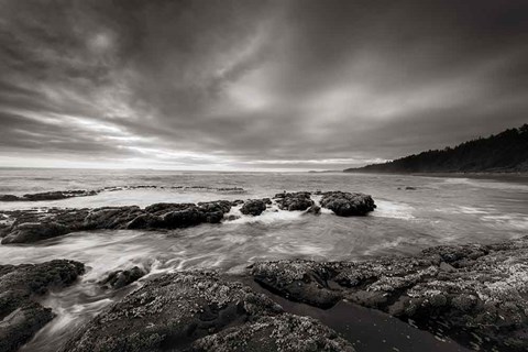 Framed Kalaloch Beach Print