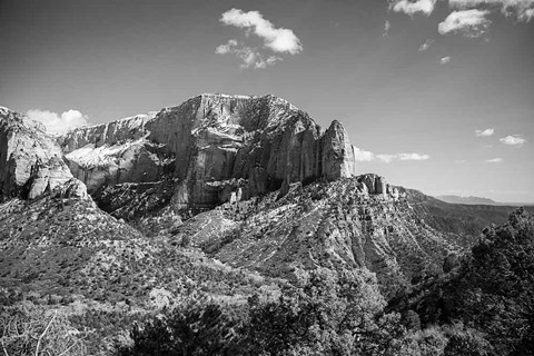 Framed Timber Top Print